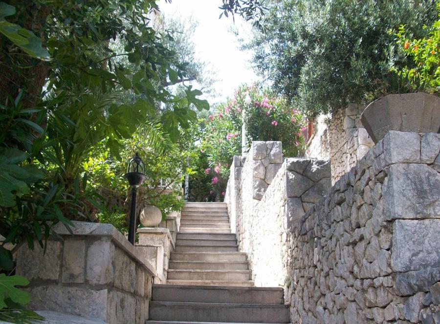 Vila Luka سلانو المظهر الخارجي الصورة